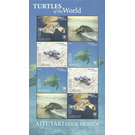 Olive Ridley Sea Turtle (Lepidochelys olivacea) - Aitutaki 2020