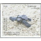 Olive Ridley Sea Turtle (Lepidochelys olivacea) - Aitutaki 2020 - 5