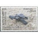 Olive Ridley Sea Turtle (Lepidochelys olivacea) - Aitutaki 2020 - 5