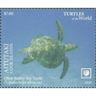 Olive Ridley Sea Turtle (Lepidochelys olivacea) - Aitutaki 2020 - 7