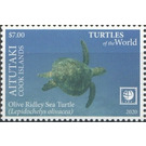 Olive Ridley Sea Turtle (Lepidochelys olivacea) - Aitutaki 2020 - 7