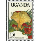 Omphalotus olearius - East Africa / Uganda 1989 - 15