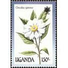 Oncoba spinosa - East Africa / Uganda 1990 - 150