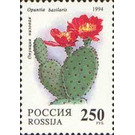 Opuntia basilaris - Russia 1994 - 250
