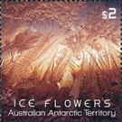 Orange Ice Flower Embossed With Foil Application - Australian Antarctic Territory 2016 - 2