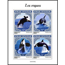 Orca (Orcinus orca) - Central Africa / Central African Republic 2021