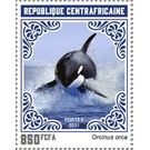 Orca (Orcinus orca) - Central Africa / Central African Republic 2021 - 850