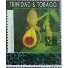 Orchid - Caribbean / Trinidad and Tobago 2019 - 2