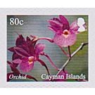 Orchids - Caribbean / Cayman Islands 2020 - 80