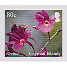Orchids - Caribbean / Cayman Islands 2020 - 80