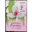 Orchids of Guatemala - Central America / Guatemala 2020