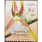 Orchids of Guatemala - Central America / Guatemala 2020