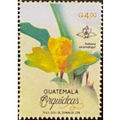 Orchids of Guatemala - Central America / Guatemala 2020