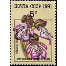 Orchis purpurea - Lady Orchid - Russia / Soviet Union 1991 - 5