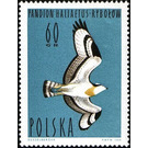 Osprey (Pandion haliaetus) - Poland 1964 - 60