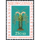 Painted Rock Lobster (Panulirus versicolor) - Melanesia / Netherlands New Guinea 1962