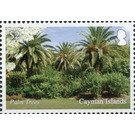 Palm Trees - Caribbean / Cayman Islands 2020 - 2