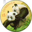 panda  - Austria / II. Republic of Austria 2003 - 100 Euro Cent
