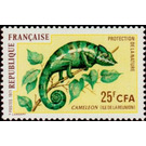 Panther Chameleon (Chamaeleo pardalis) - East Africa / Reunion 1971 - 25