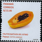 Papaya (Carica papaya) - Central America / Panama 2019 - 15