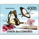 Papilio dardanus - East Africa / Comoros 2011 - 400