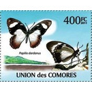 Papilio dardanus - East Africa / Comoros 2011 - 400