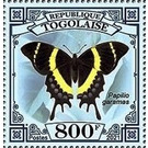 Papilio garamaas - West Africa / Togo 2021