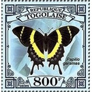 Papilio garamaas - West Africa / Togo 2021