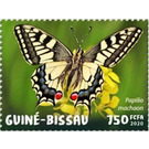 Papilio machaon - West Africa / Guinea-Bissau 2020 - 750