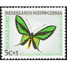 Paradise Birdwing (Ornithoptera paradisea) - Melanesia / Netherlands New Guinea 1960