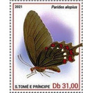Parides alopius - Central Africa / Sao Tome and Principe 2021