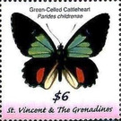 Parides childrenae - Caribbean / Saint Vincent and The Grenadines 2019 - 6