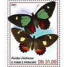 Parides childrenae - Central Africa / Sao Tome and Principe 2021