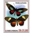 Parides eurimedes - Central Africa / Sao Tome and Principe 2021