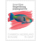 Parrotfish (Scaridae sp.) - Caribbean / Bonaire 2020 - 75