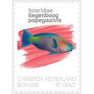 Parrotfish (Scaridae sp.) - Caribbean / Bonaire 2020 - 75