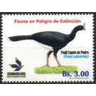 Pauxi unicornis - South America / Bolivia 2017 - 3