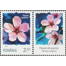 Peach Blossom - Romania 2020 - 2.20