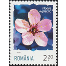 Peach Blossom - Romania 2020 - 2.20