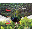 Peacock (Pavo cristatus) - Bosnia and Herzegovina 2020