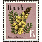 Peanut Butter Cassia (Senna didymobotrya) - East Africa / Uganda 1969 - 15