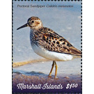 Pectoral Sandpiper (Calidris melanotos) - Micronesia / Marshall Islands 2019 - 1.50