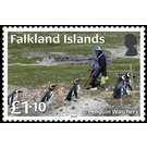 Penguin Watchers - South America / Falkland Islands 2020