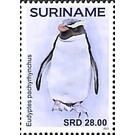 Penguins - South America / Suriname 2021