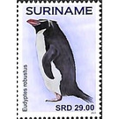 Penguins - South America / Suriname 2021