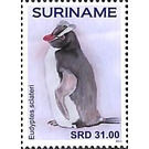 Penguins - South America / Suriname 2021