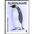 Penguins - South America / Suriname 2021