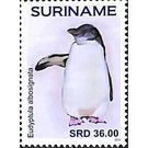 Penguins - South America / Suriname 2021