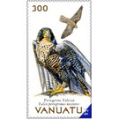 Peregrine Falcon (Falco peregrinus nesiotes) - Melanesia / Vanuatu 2019 - 300