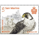 Peregrine Falcon (Falco peregrinus) - San Marino 2019 - 1.15